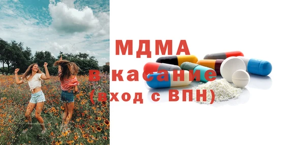 гашик Алексин