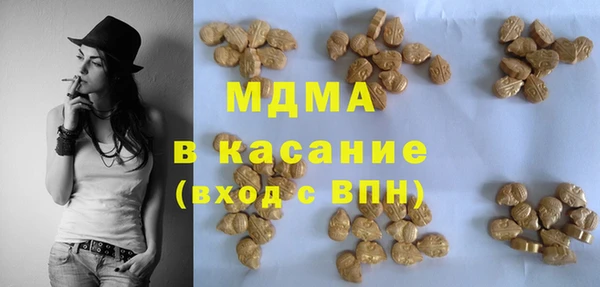 гашик Алексин