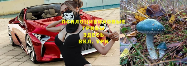 скорость Алзамай