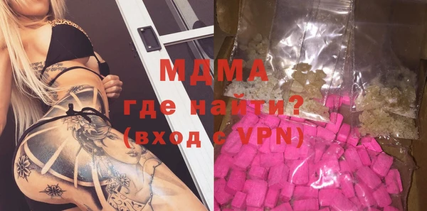 гашик Алексин