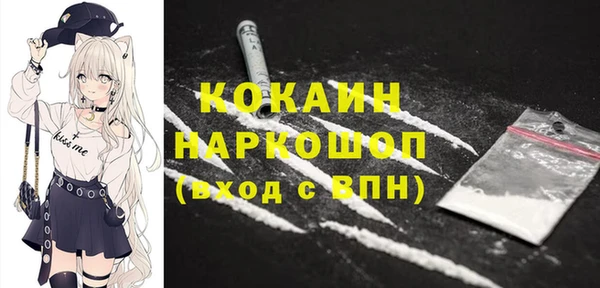 гашик Алексин