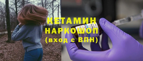 гашик Алексин